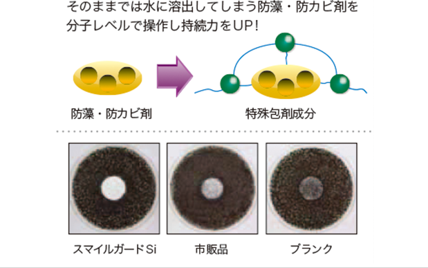 防藻・防かび剤の説明図