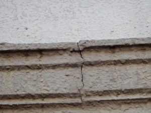 DSCN2281