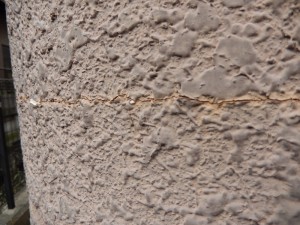 DSCN2683