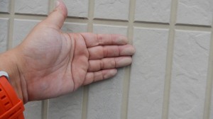 DSCN3361