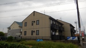 DSCN3381