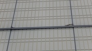 DSCN3385