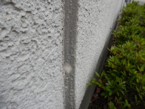 DSCN6311