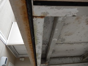 DSCN6330