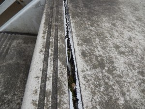 DSCN6341