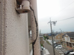 DSCN8870