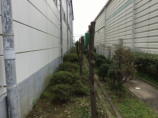 江南市　Ｍ株式会社