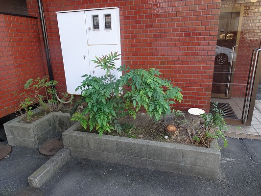 北名古屋市　Oマンション